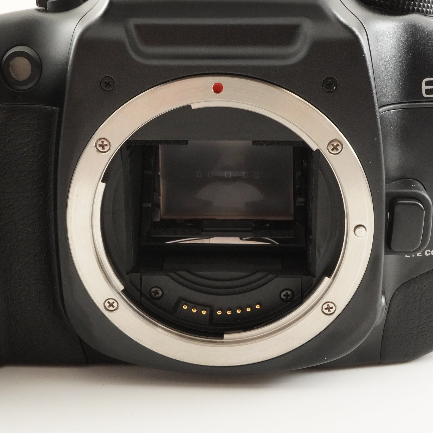 Canon EOS 7 Elan 7E + EF 50mm F1.8 II SLR 35mm Film Camera from Japan #10213