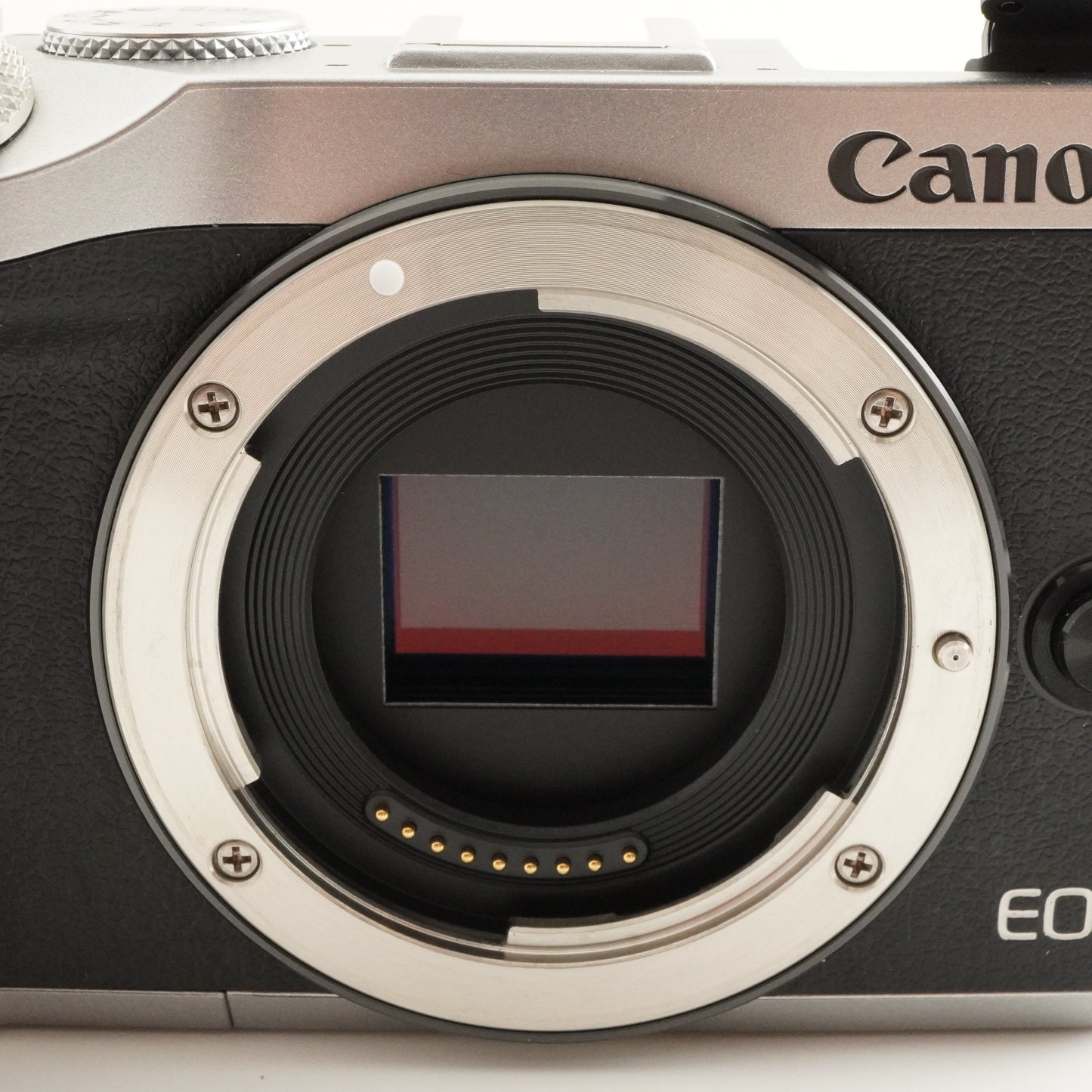 Canon EOS M6 Silver + EVF-DC2 Mirrorless Digital Camera from Japan #8028