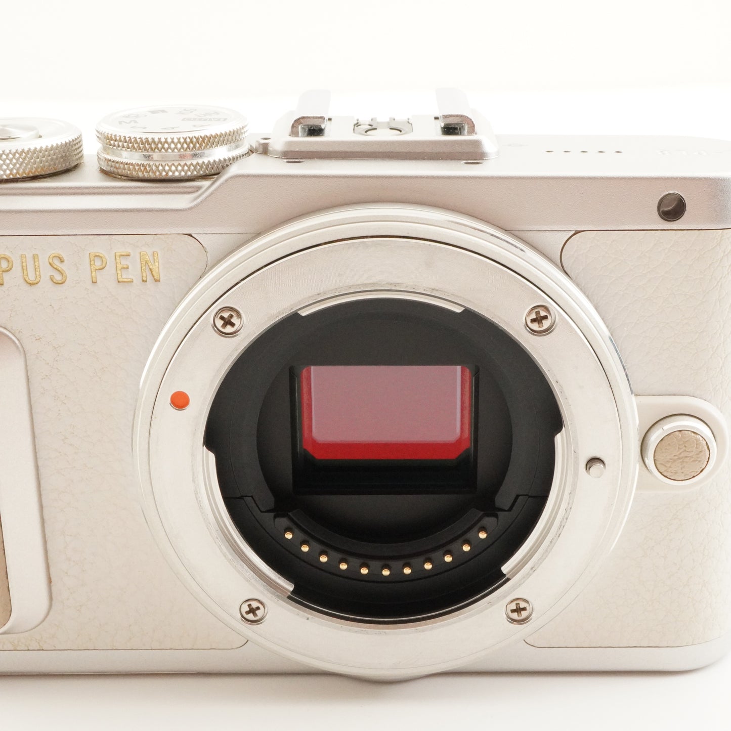 [10,290 Shots] OLYMPUS E-PL8 White +14-42 +40-150 In Box+16GBSD from Japan #9596