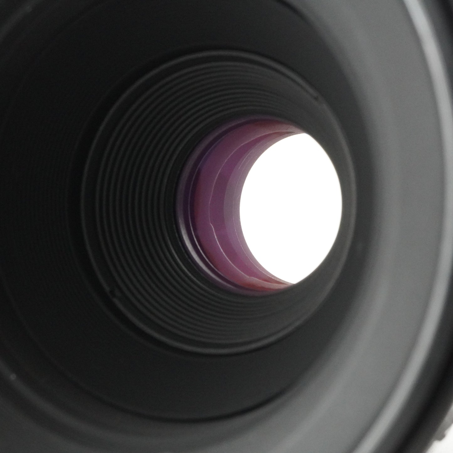 Nikon AF MICRO NIKKOR 60mm F2.8 AF MACRO Lens from Japan #3807