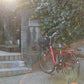 NIKON Noct-NIKKOR Ai 58mm F1.2 MF Prime Photo tested from Japan #4342