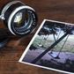 CANON 50mm F1.4 LTM Leica L39 screw mount MF Lens Photo tested! from Japan #6634